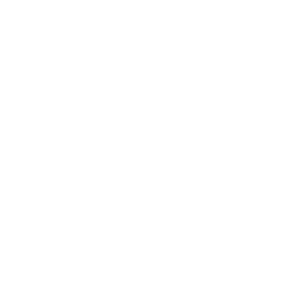 15 Años Consecutivos